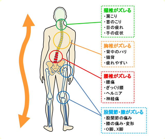 整体と美容鍼の融合で自分史上最高の体へ